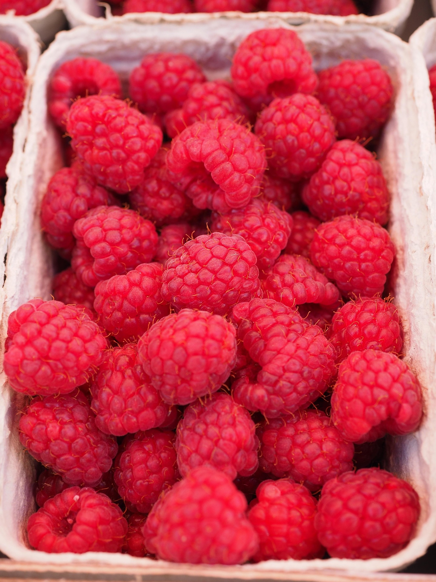 Fresh Provisions